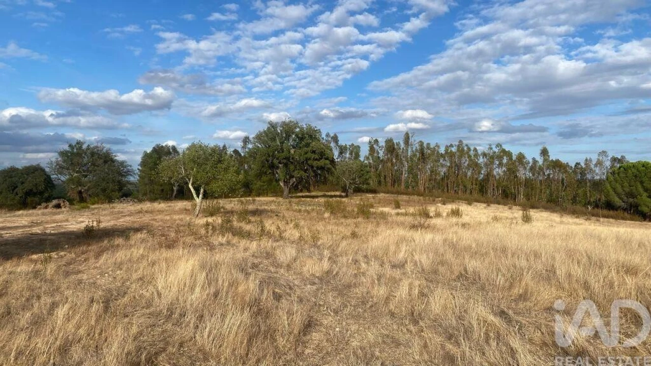 Terreno para Venda em Galveias Foto 1