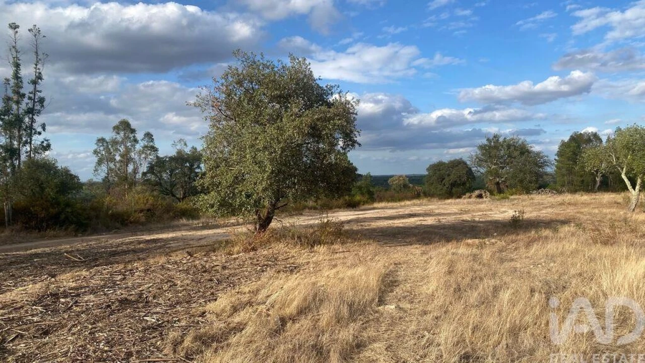Terreno para Venda em Galveias Foto 4