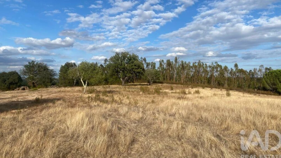 Terreno para Venda em Galveias