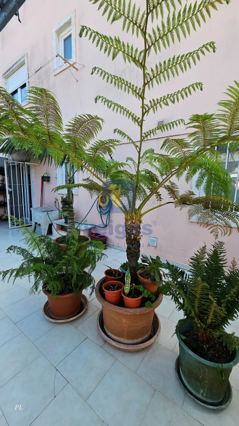 Apartamento T3 para Venda em Casal de Cambra