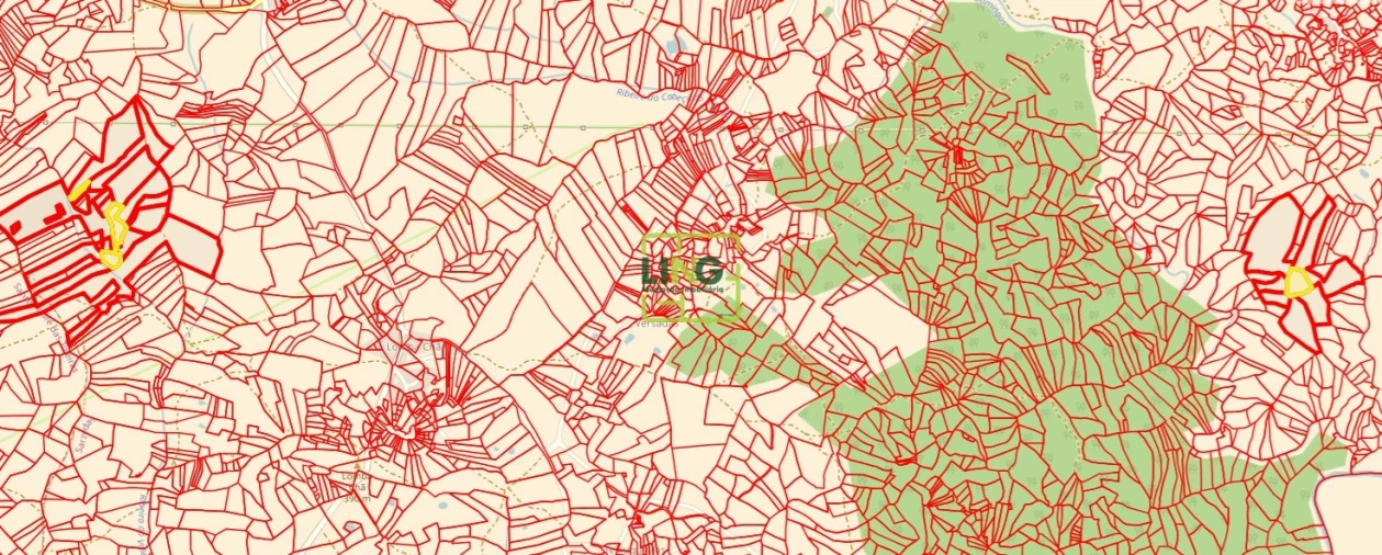 Terreno Agricola ou Rústico para Venda em Sarzedas Foto 31