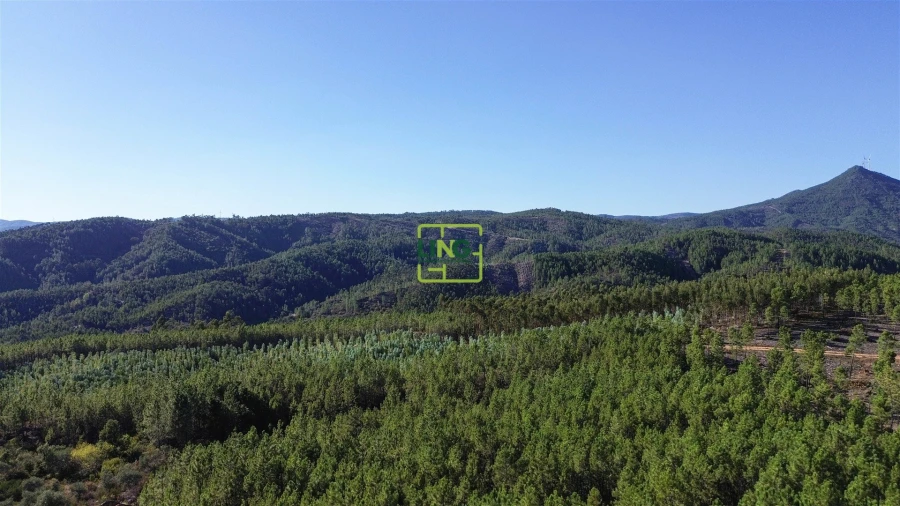 Terreno Agricola ou Rústico para Venda em Sarzedas Foto 25