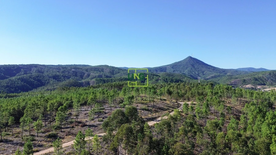 Terreno Agricola ou Rústico para Venda em Sarzedas