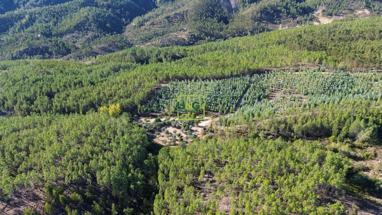 Terreno Agricola ou Rústico para Venda em Sarzedas Foto 12