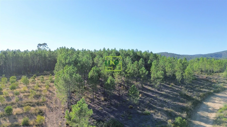 Terreno Agricola ou Rústico para Venda em Sarzedas Foto 11