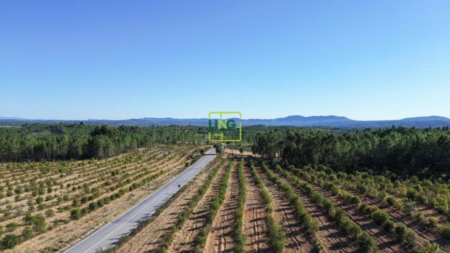 Terreno Agricola ou Rústico para Venda em Sarzedas