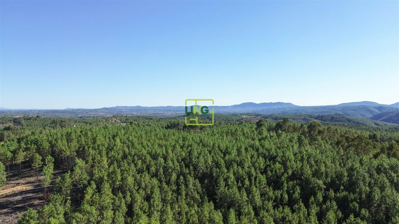 Terreno Agricola ou Rústico para Venda em Sarzedas Foto 9