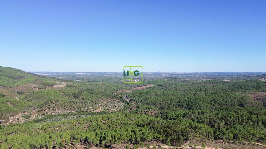 Terreno Agricola ou Rústico para Venda em Sarzedas
