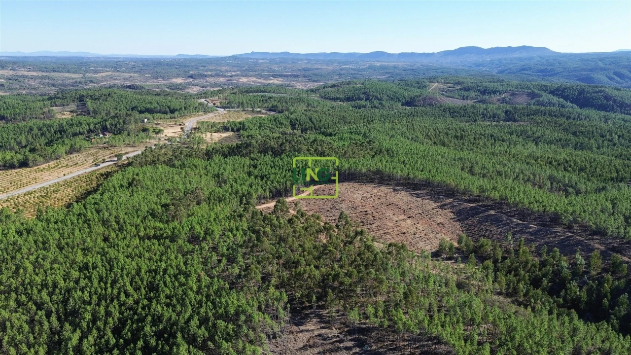 Terreno Agricola ou Rústico para Venda em Sarzedas Foto 7