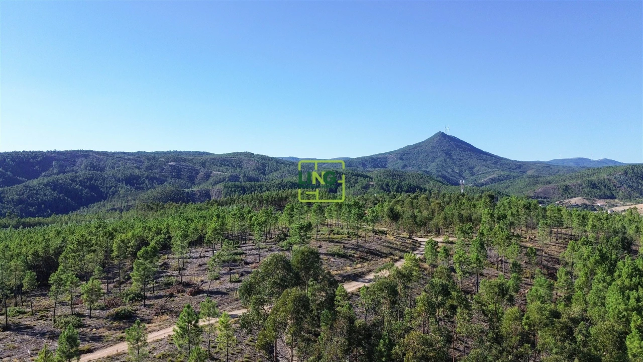 Terreno Agricola ou Rústico para Venda em Sarzedas Foto 5