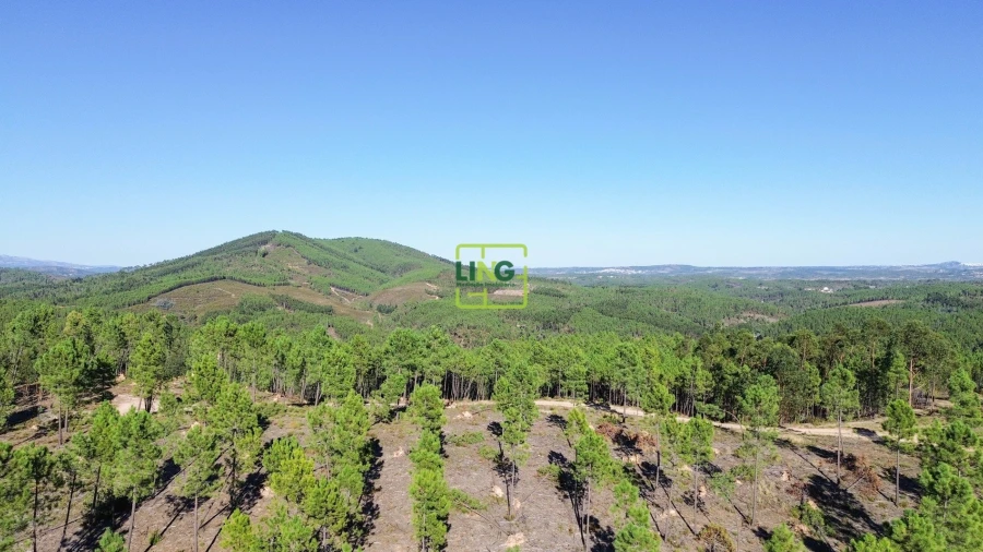 Terreno Agricola ou Rústico para Venda em Sarzedas