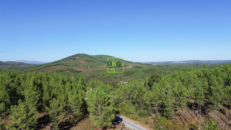 Terreno Agricola ou Rústico para Venda em Sarzedas Foto 24