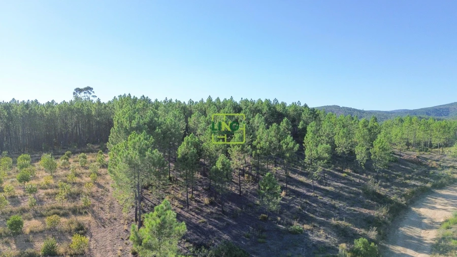 Terreno Agricola ou Rústico para Venda em Sarzedas
