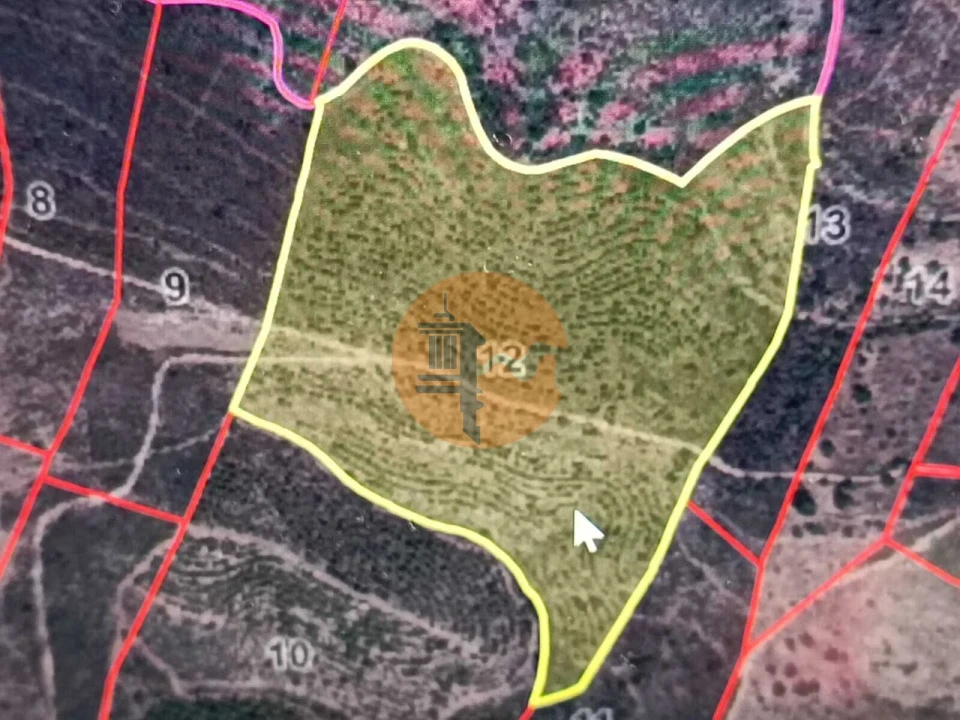 Terreno para Venda em Alcoutim e Pereiro Foto 2