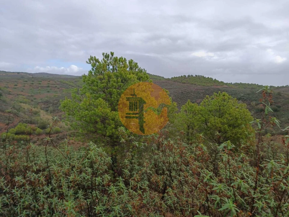 Terreno para Venda em Alcoutim e Pereiro Foto 4