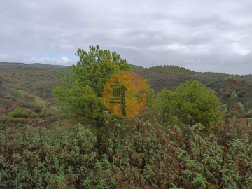 Terreno para Venda em Alcoutim e Pereiro