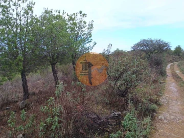 Terreno para Venda em Alcoutim e Pereiro
