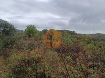 Terreno para Venda em Alcoutim e Pereiro