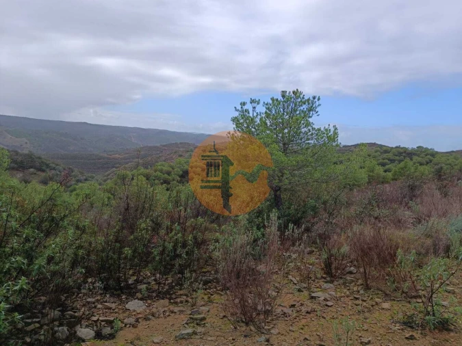 Terreno para Venda em Alcoutim e Pereiro Foto 6