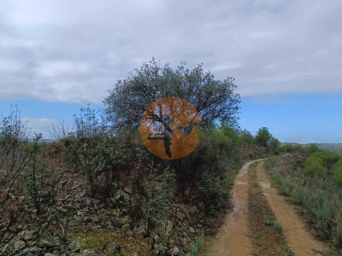Terreno para Venda em Alcoutim e Pereiro Foto 10