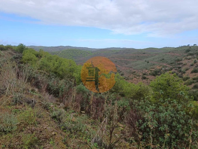 Terreno para Venda em Alcoutim e Pereiro Foto 12