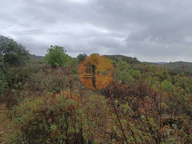 Terreno para Venda em Alcoutim e Pereiro Foto 13