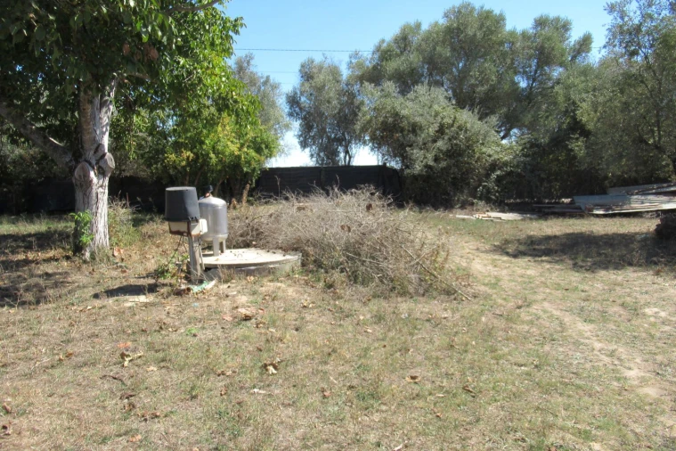 Moradia T3 para Venda em Golegã Foto 4