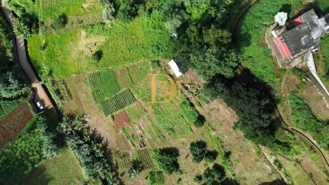 Terreno para Venda em Santana