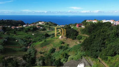 Terreno para Venda em Santana