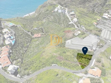 Terreno para Venda em Ribeira Brava