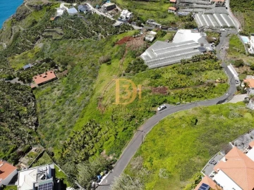 Terreno para Venda em Ribeira Brava