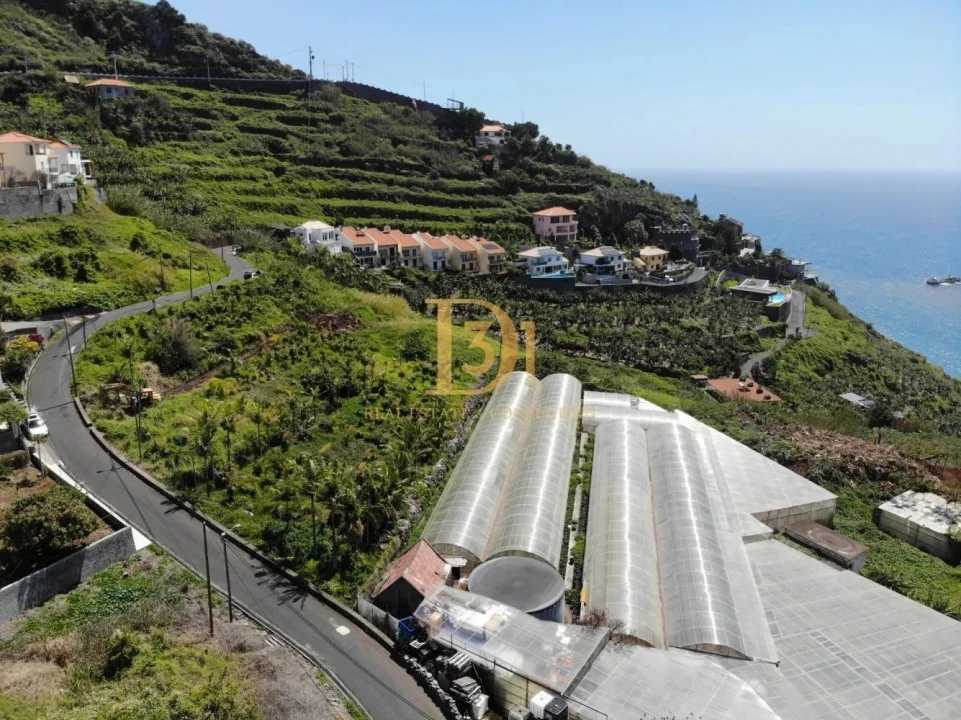 Terreno para Venda em Ribeira Brava Foto 6