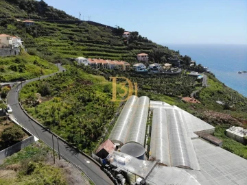 Terreno para Venda em Ribeira Brava