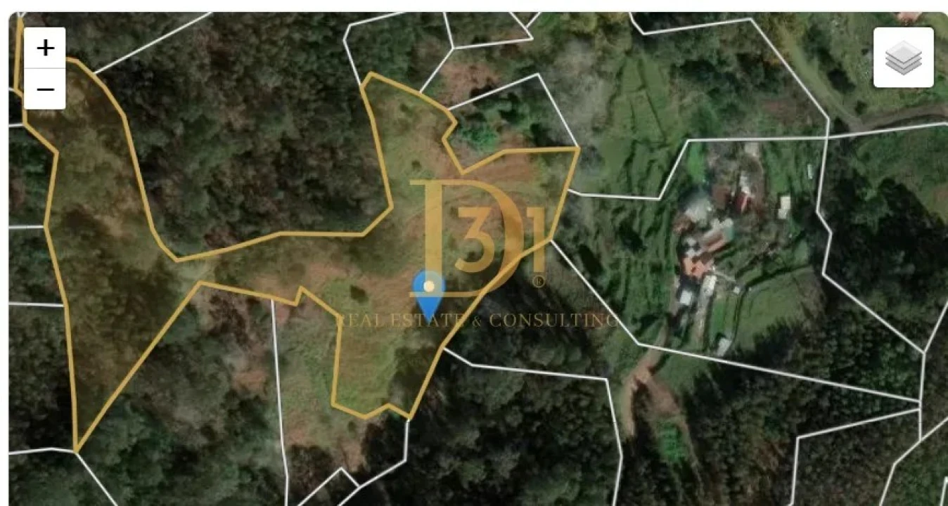 Terreno para Venda em Monte Foto 16