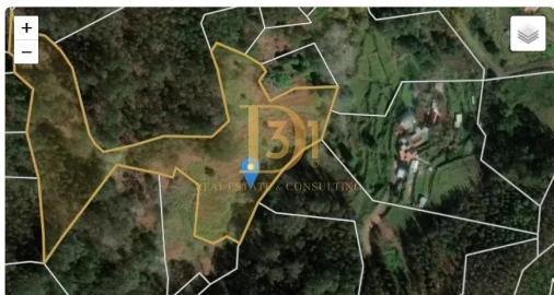 Terreno para Venda em Monte