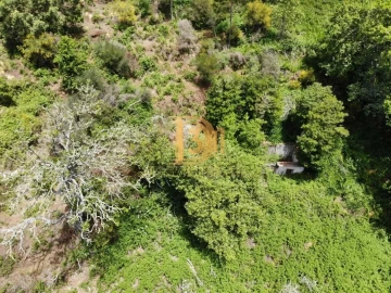 Terreno para Venda em Monte