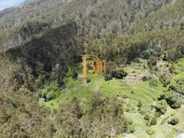 Terreno para Venda em Monte