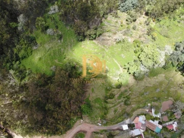 Terreno para Venda em Monte