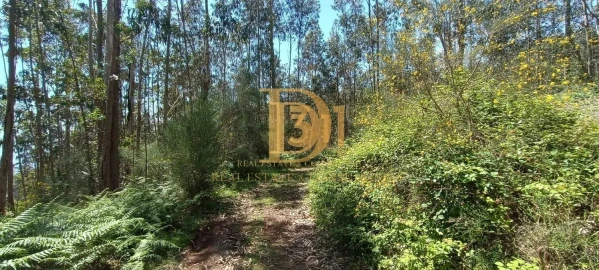 Terreno para Venda em Monte