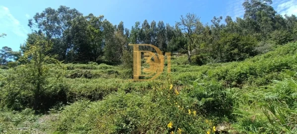 Terreno para Venda em Monte