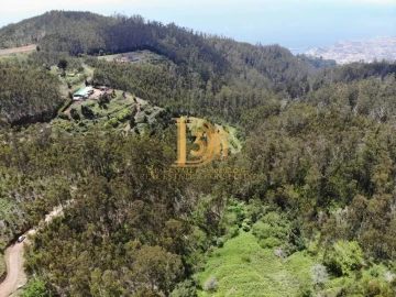 Terreno para Venda em Monte
