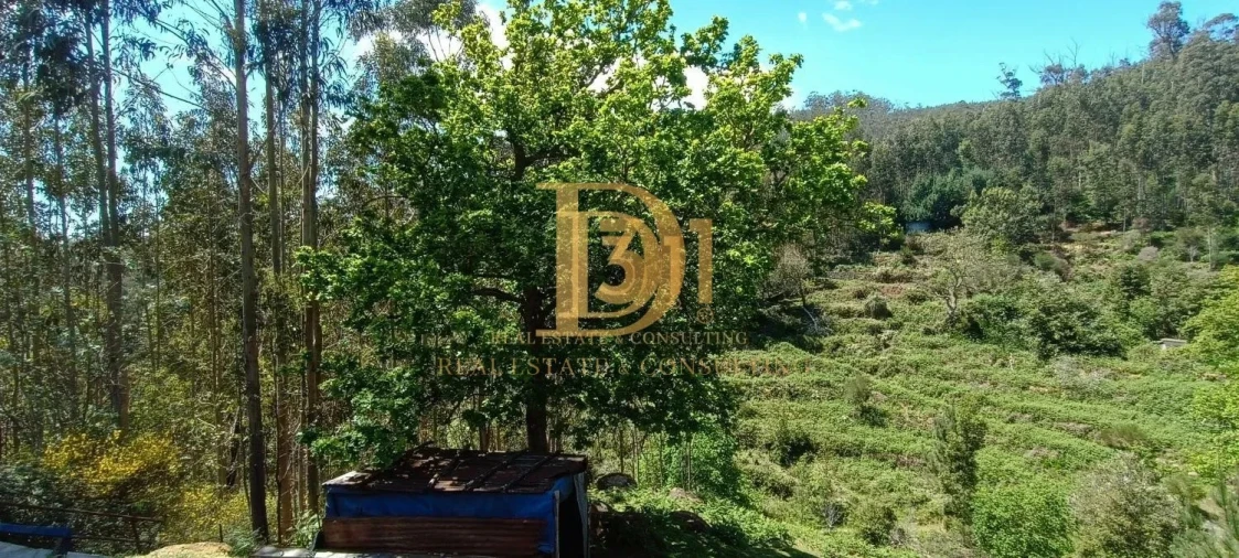 Terreno para Venda em Monte Foto 6