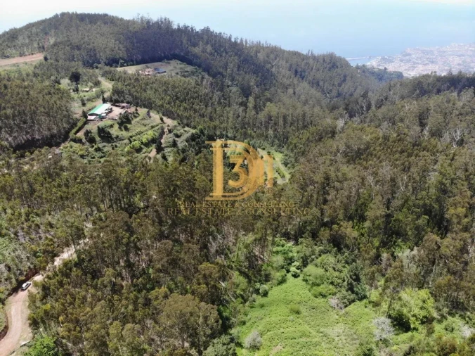 Terreno para Venda em Monte Foto 13