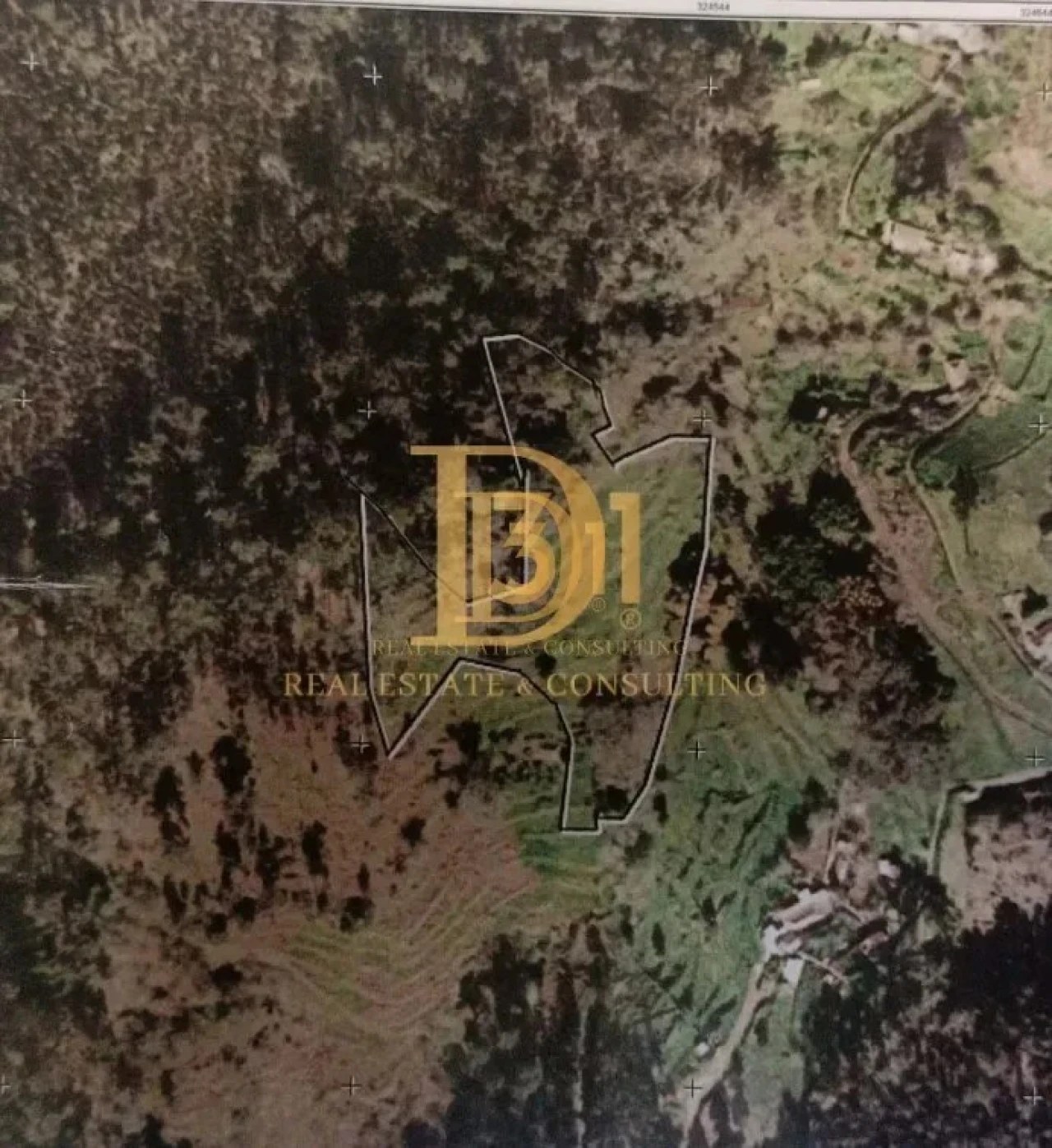 Terreno para Venda em Monte Foto 14