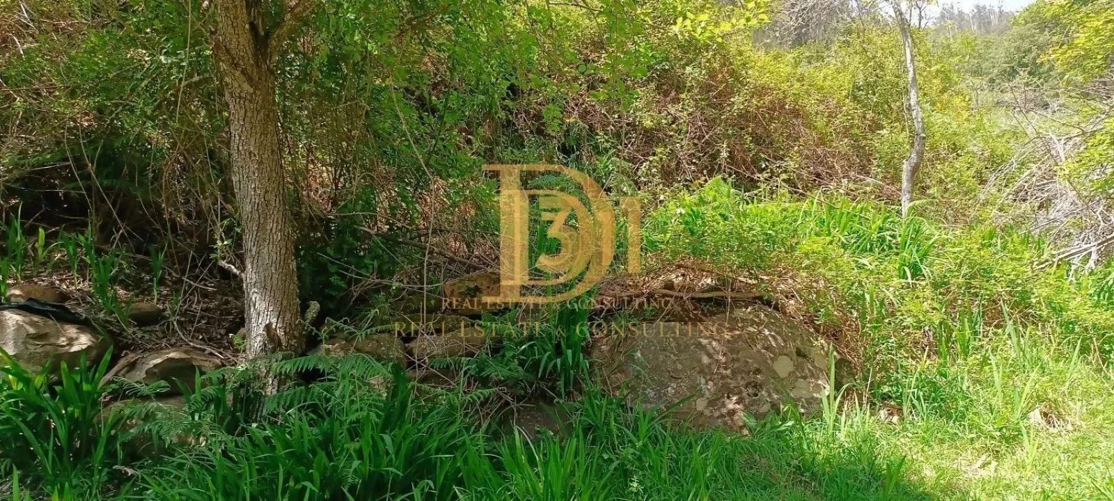 Terreno para Venda em Monte Foto 9