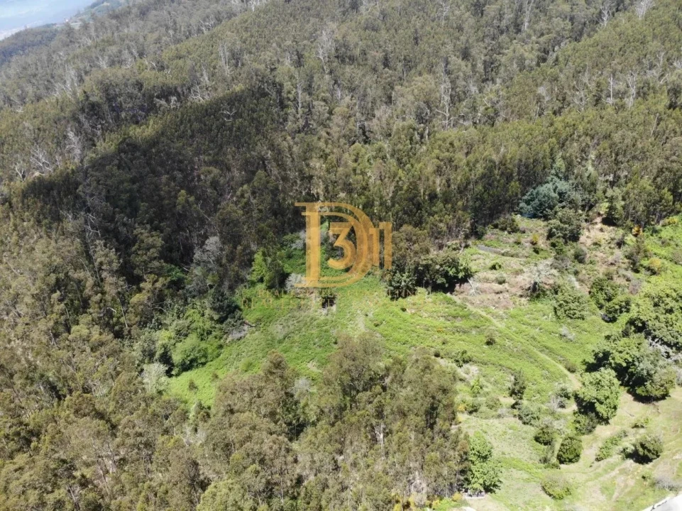 Terreno para Venda em Monte Foto 1