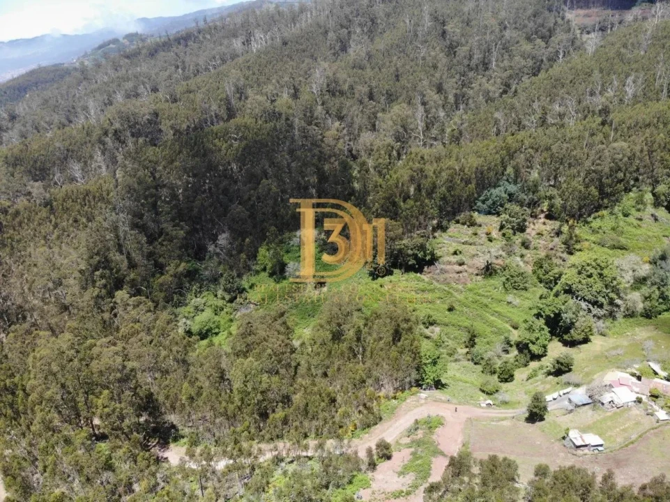 Terreno para Venda em Monte Foto 3