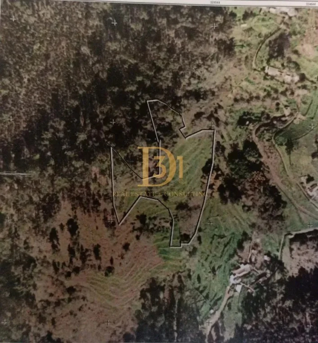 Terreno para Venda em Monte Foto 15