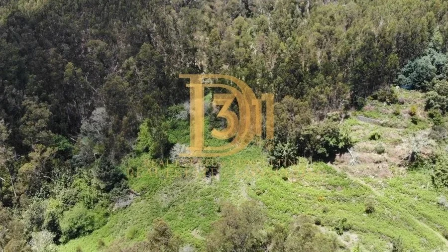 Terreno para Venda em Monte