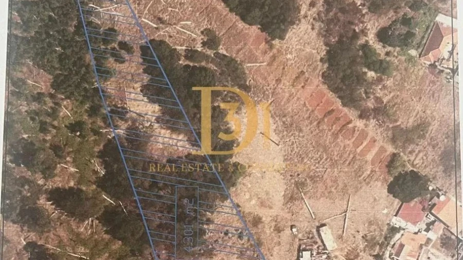 Terreno para Venda em Caniço